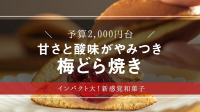 めざましどようびで絶賛！「梅どら」を大調査【敬老の日・和菓子】【スイーツ・手土産】【ギフト・プレゼント】