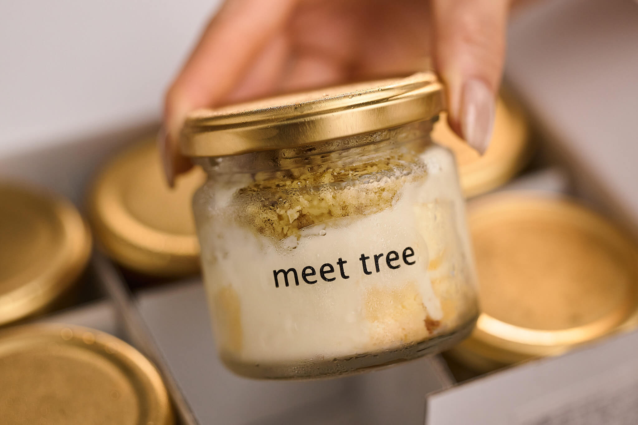 meet tree