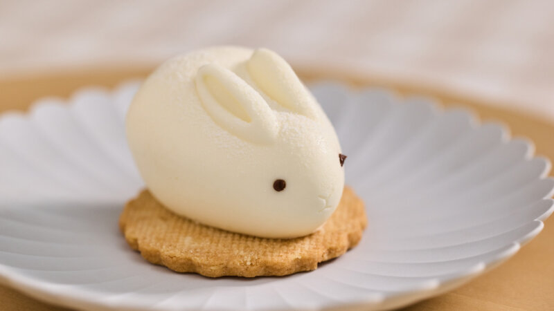 三軒茶屋の手土産｜予約必須！かわいいチーズケーキ〈MOTCH〉のうさもっちを徹底調査【お取り寄せお菓子】【母の日】